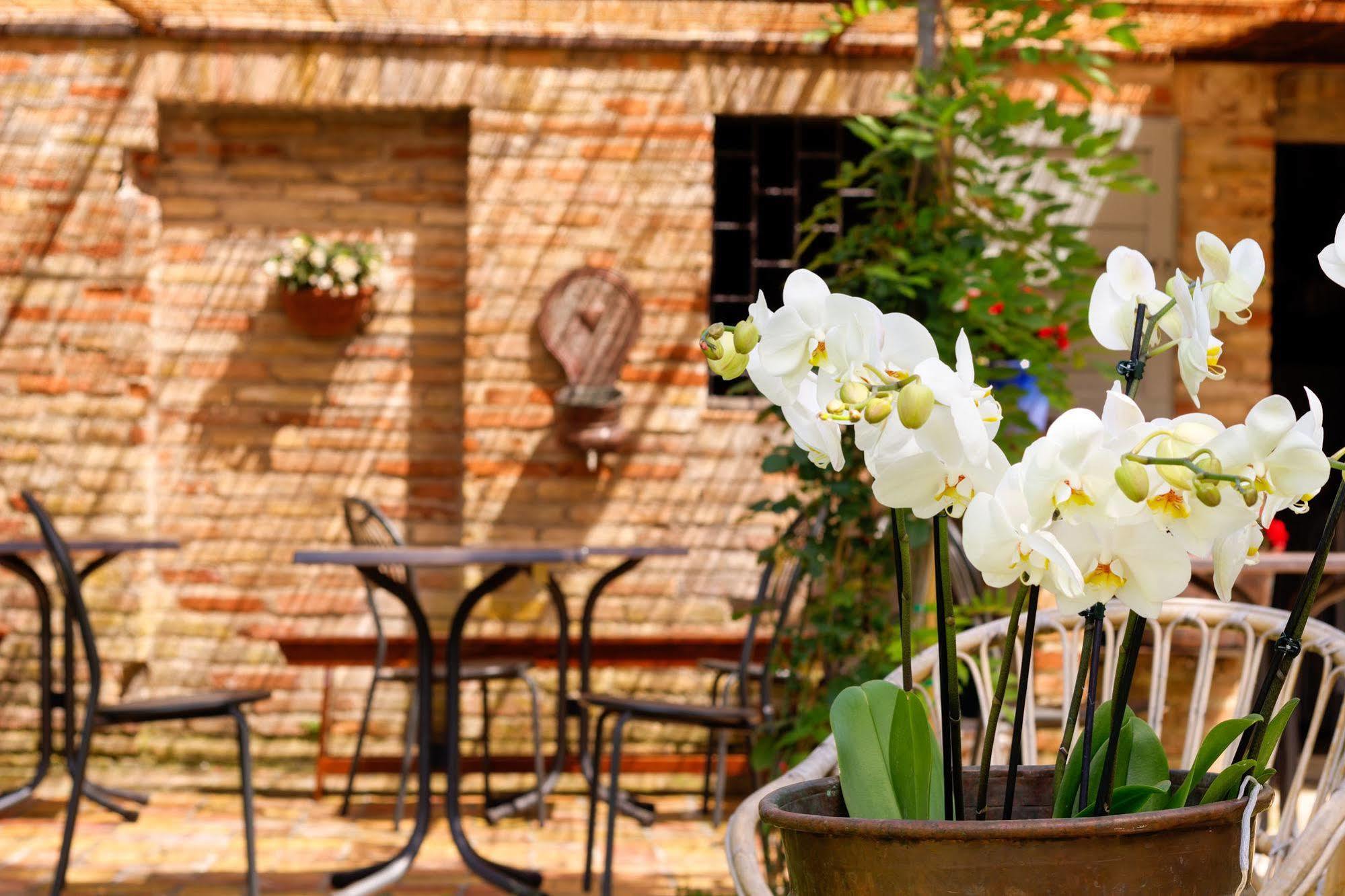 B&B La Residenza Del Poeta Montesicuro Ngoại thất bức ảnh
